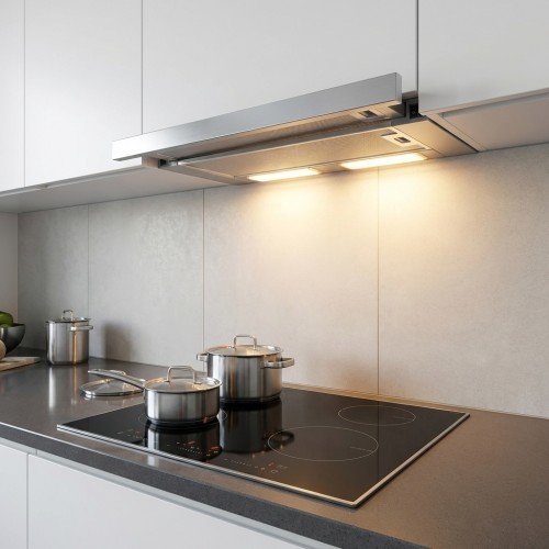 Einbauhaube Flachschirmhaube 60 cm mit ausziehbarem Paneel Einbauhaube Flachschirmhaube 60 cm mit ausziehbarem Paneel