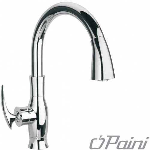 Paini articoli speciali Einhebelmischer