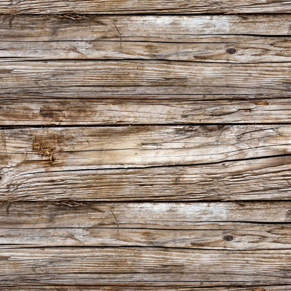 Rückwandpaneel mit Motiv