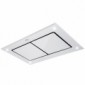 Vollglas Deckenlüfter zzgl. externer Motor nach Wahl 100 oder 120 x 70 cm [1/7]